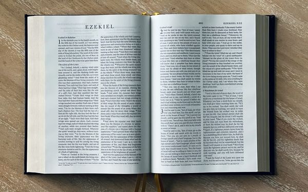 Speaking to People Who Don’t Want to Listen (Ezekiel 1-12)