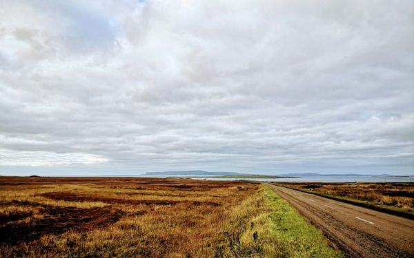 Finding God When Life Feels Hopeless (Psalm 75-77)