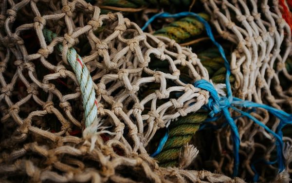 Jesus Calls Us to Be Fishers of Men (Matthew 8, Mark 1, and Luke 4-5)