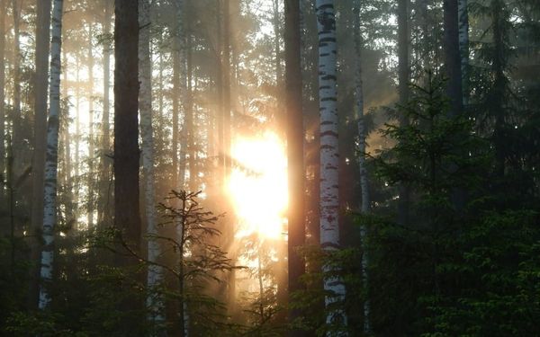 What Jesus Meant by “I Am the Light of the World” (Luke 10:1-24; John 7-9)