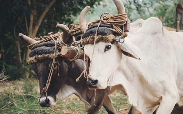 How We Add Burdens Jesus Never Gave (Acts 15-16)