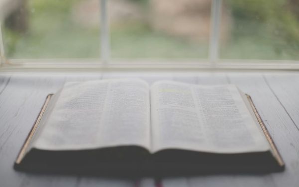 How Often Do You Seek God? (Psalm 102-105)