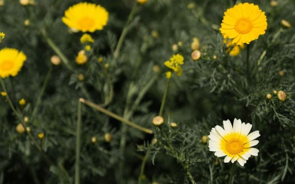 Do People Recognize That You Know Jesus? (Acts 3-4)