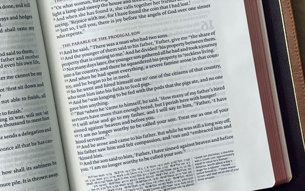 What is the “Real Story” of the Prodigal Son? (Luke 12-15)