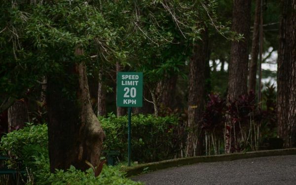 The Responsibility of Spiritually Mature Christians (Romans 15-16)