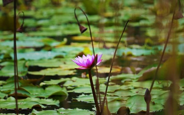 How I Respond To Grace (Romans 3-4)