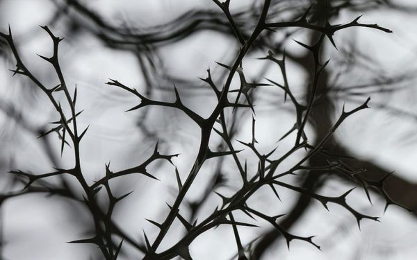 Why Do I Have This Problem? (2 Corinthians 11-13)