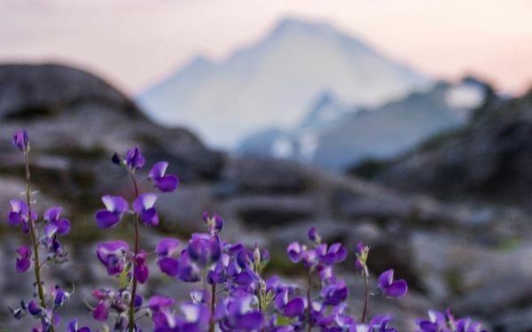 How Do I Keep from Being Anxious? (Philippians 3-4)