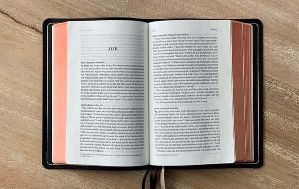 Have Your Friends Deserted You? (Job 4-7)