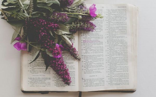 Does The Bible Forbid Women from Teaching Men? (1 Timothy 1-2)