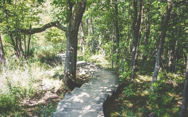 Do You View God As Your Teacher? (Psalm 142-143)