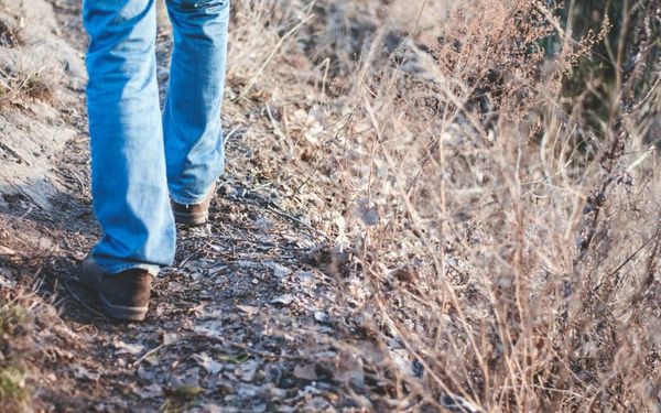 Keep Walking in Truth (2 John; 3 John)