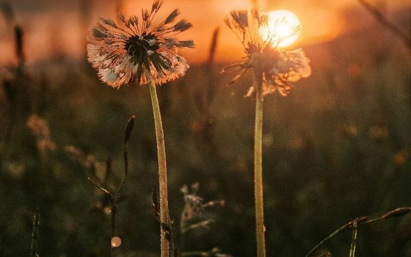 Are You a Lovely Person?