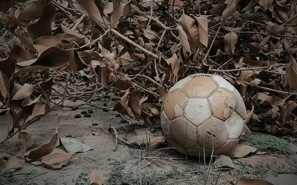 Keep Your Eyes on the Ball