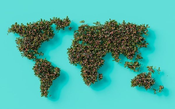 Gratitude That Crosses Borders