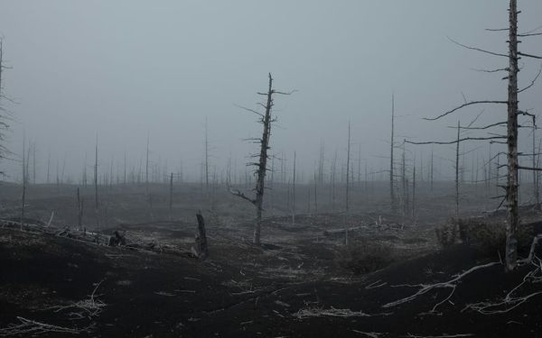 What the Epstein Files Teach Us About Our Need for God