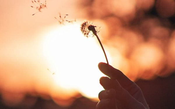How Counting the Good Rewired My Brain