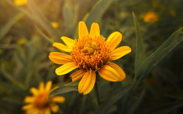 The Life-Changing Hope of Jesus