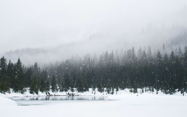 Winter Can Be a Blessing Rather Than Depressing