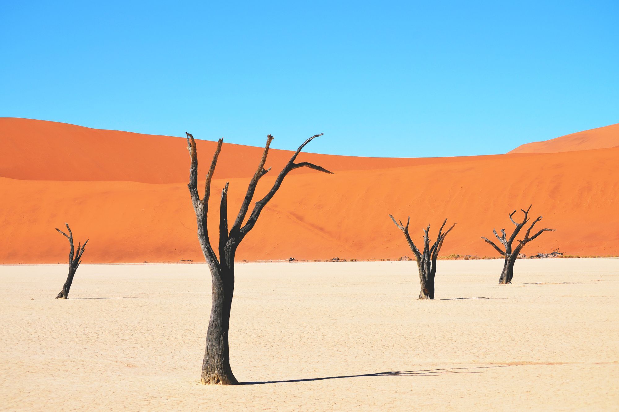Ce monde d'après...