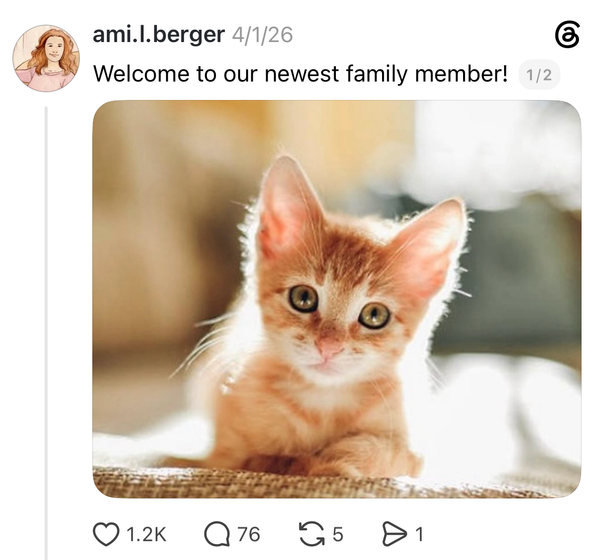 Better Than Cats: My Villain Origin Story