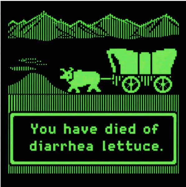 Diarrhea Lettuce: Building a Culture of Resistance One Poop Joke at a Time