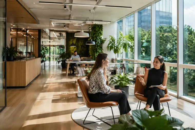 🌱 Resiliência Profissional: Como Lidar com Rejeições e Fracassos no Trabalho