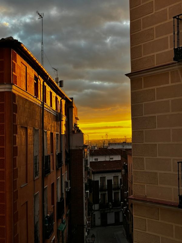 cinquantadue episodi in cui viaggio nelle città dei miei sogni: odio el italiano pero como venís de chulas a hablarlo tan mal os hay que dar lecciones