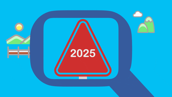 2025 in the rear-view mirror