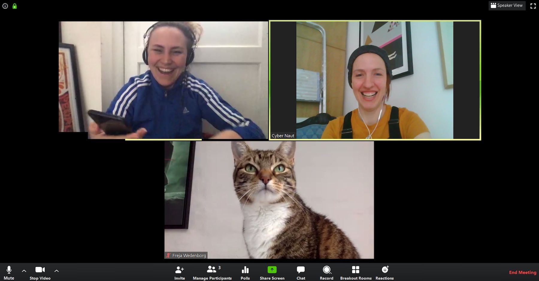 Undgå Zoom-bombing: Sådan holder du sikre videomøder