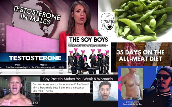 Mad og maskulinitet: Soyboys, salatspisere og speltmænd