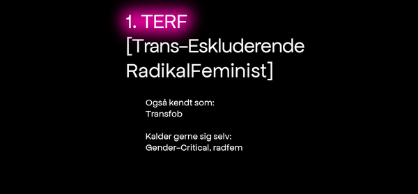 Kønskrigerne: Fra smal mærkesag til mainstream kulturkamp