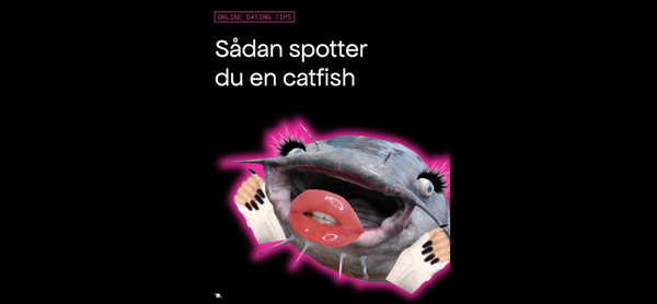 Lær at spotte en catfish...
