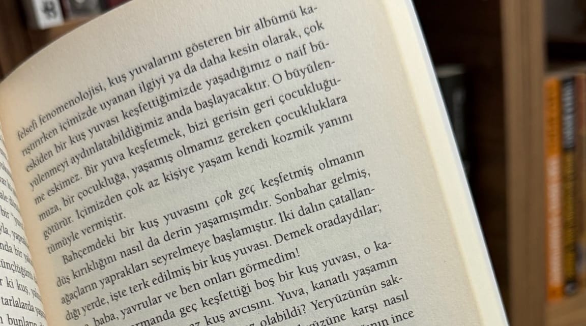 Bakışı yavaşlatmak