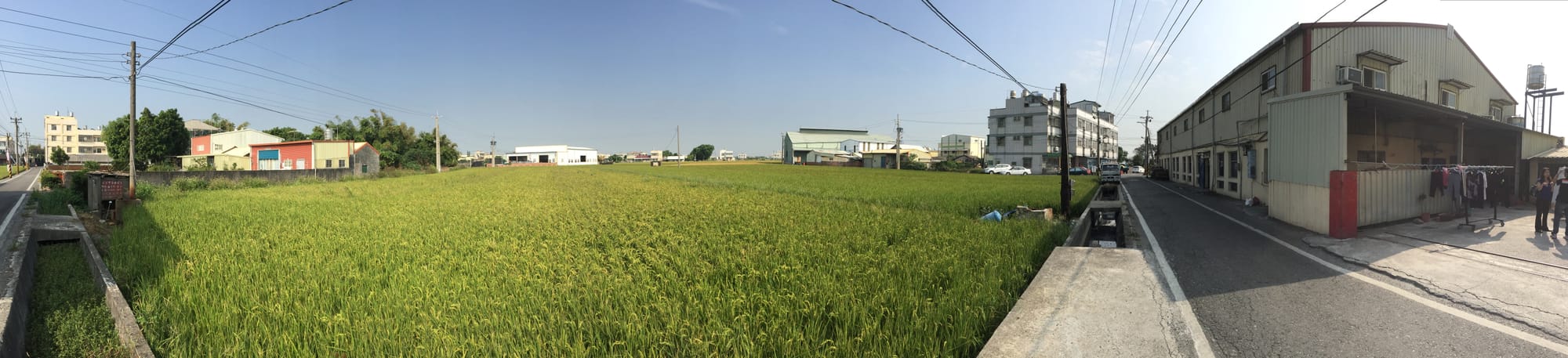An outdoor scene with a rice field and a small factory