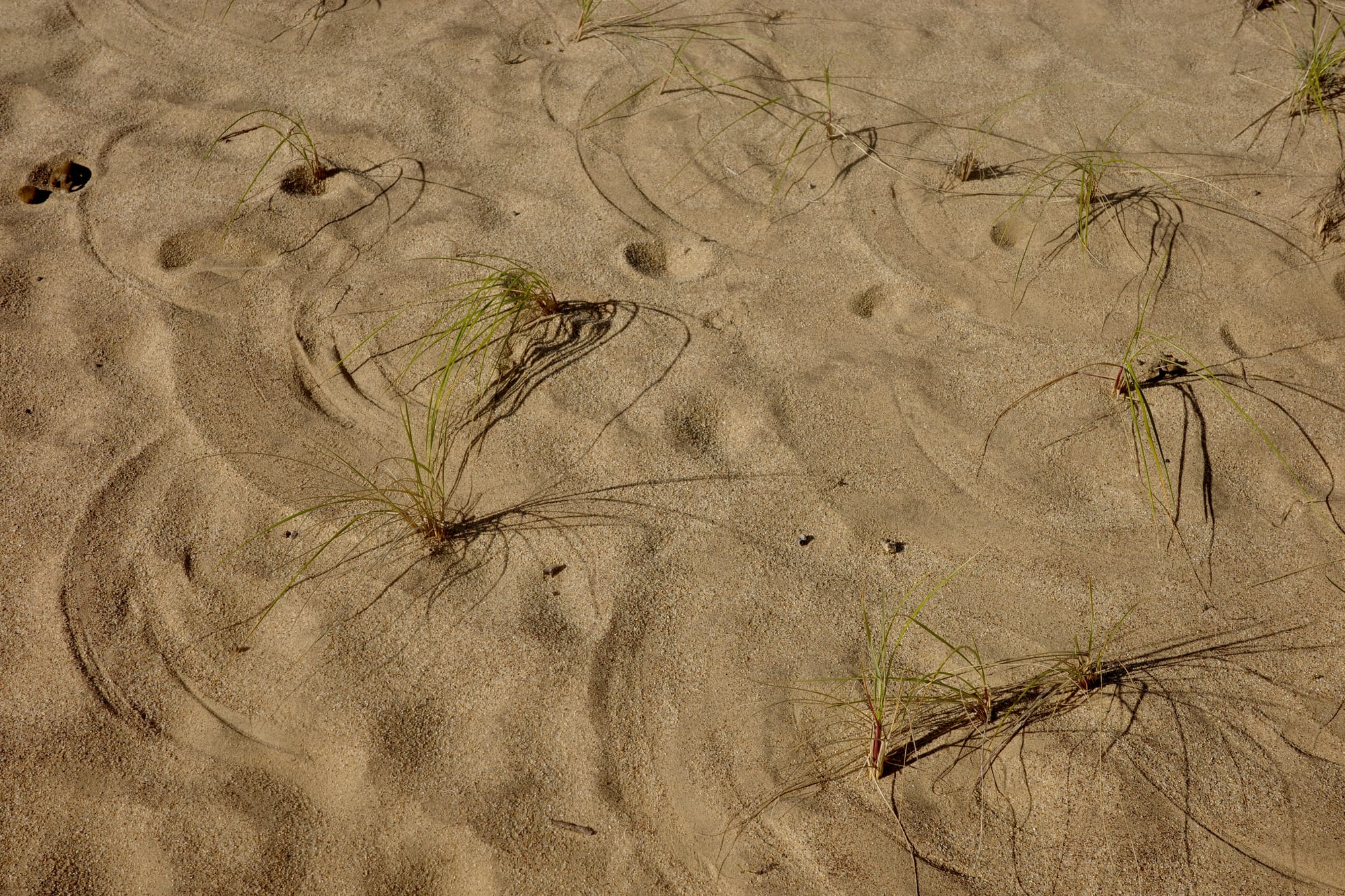 Scope Creep, 2025-10-27.