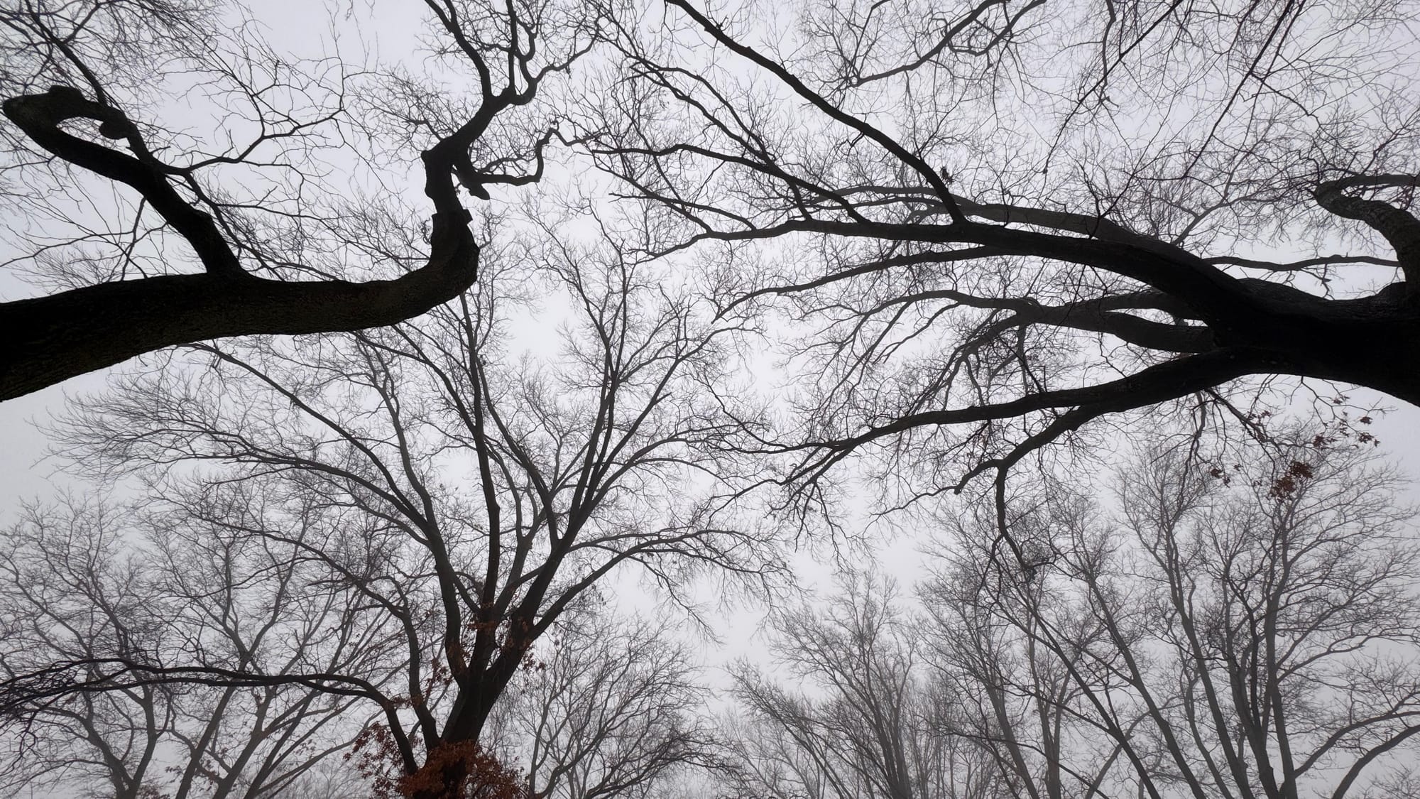 Supersaturate, Recharge