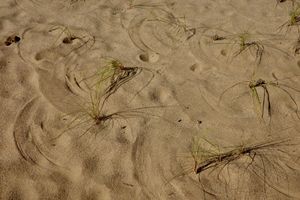 Scope Creep, 2025-10-27.