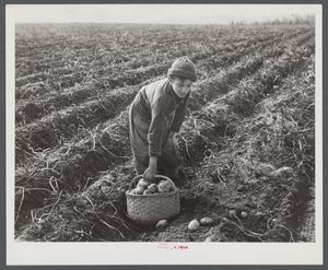 Scope Creep, 2025-12-08.