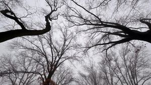 Supersaturate, Recharge