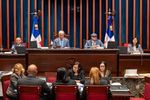 El Senado modifica Ley Partidos, obliga antidopaje a candidatos