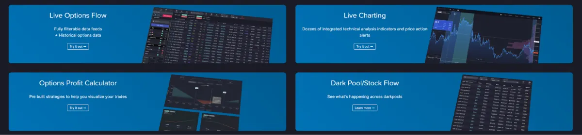 unusual whales options