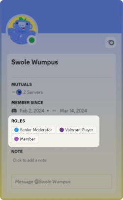 discord roles