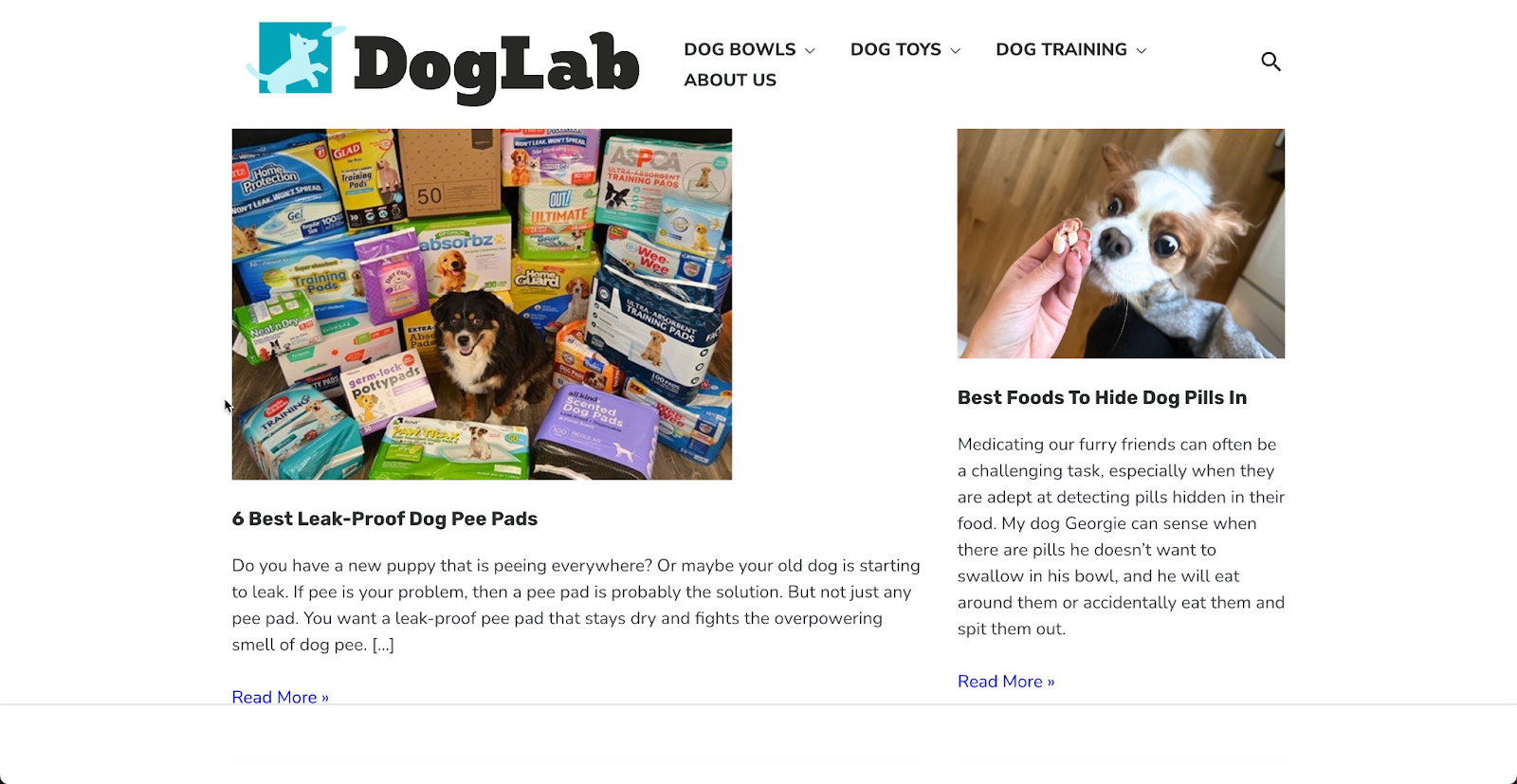 dog lab 