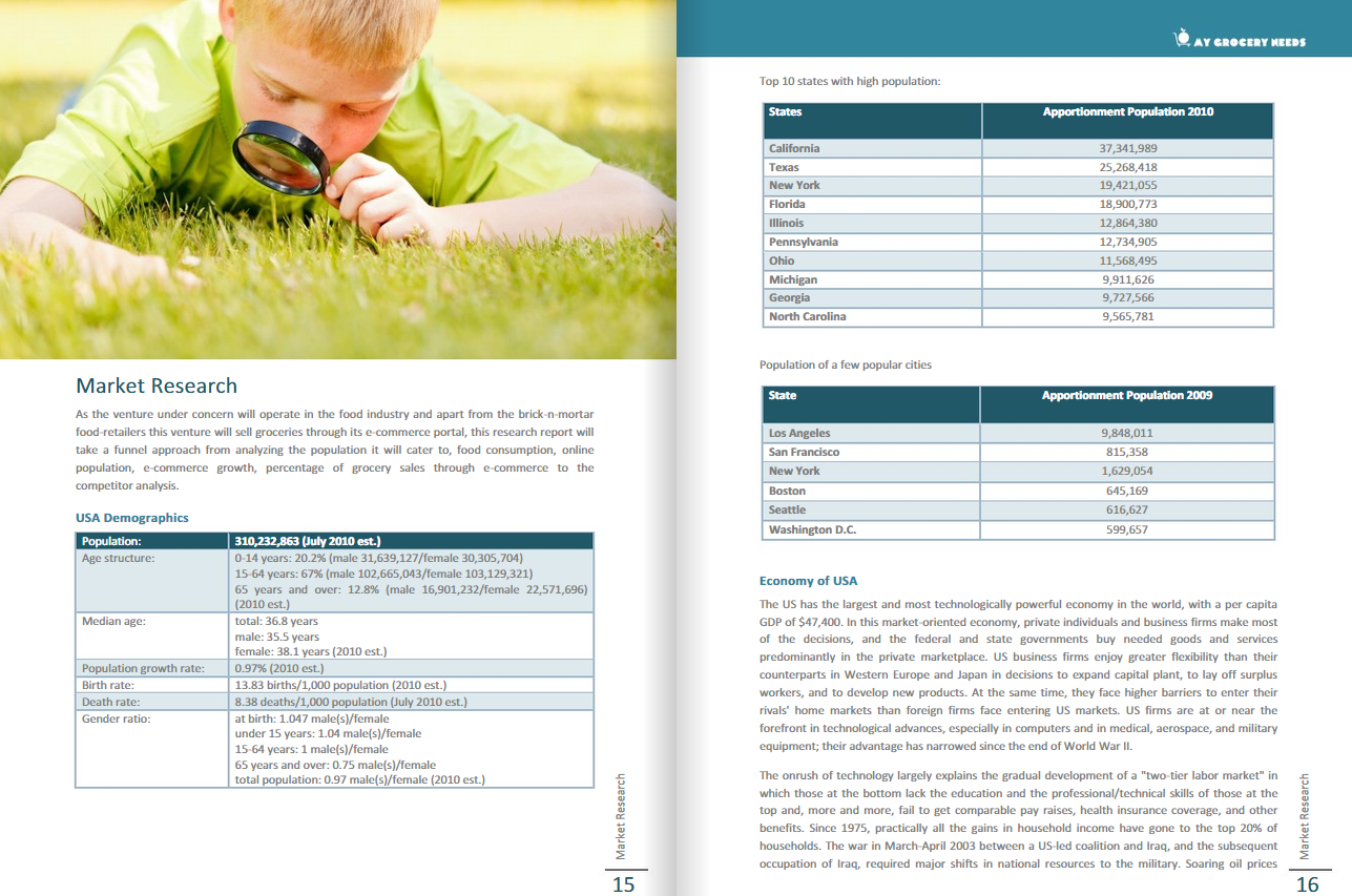 my grocery needs business plan