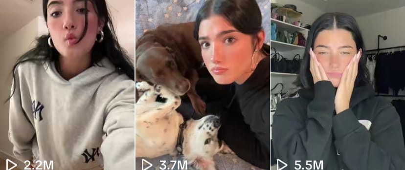 charli damelio tiktok