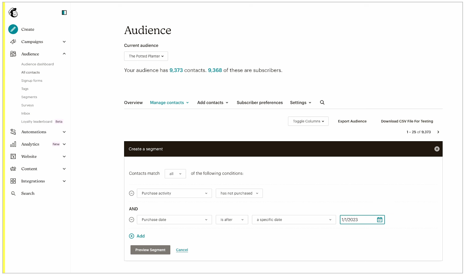 Mailchimp Segementation Dashboard Screenshot