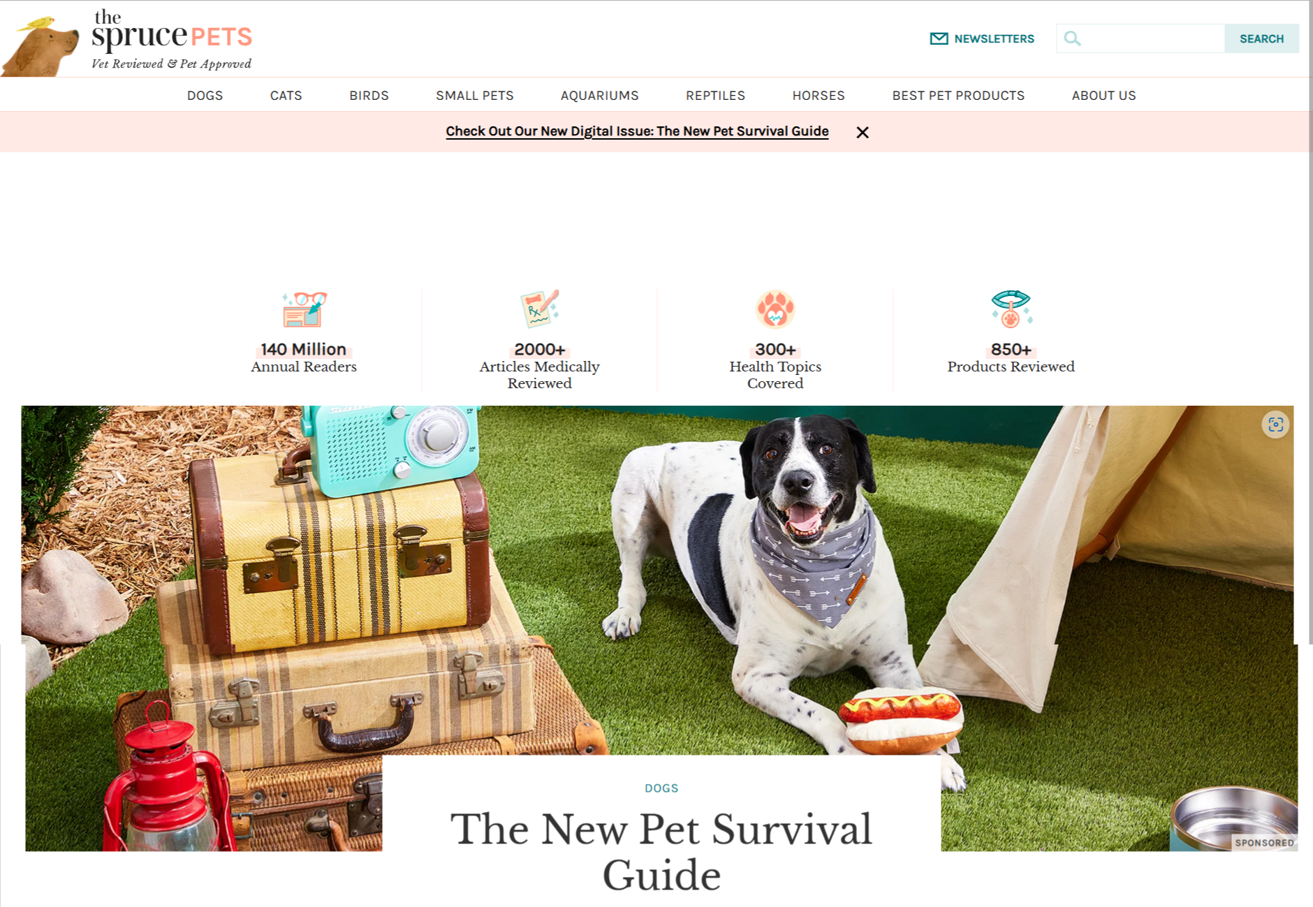 The Spruce Pets Dashboard