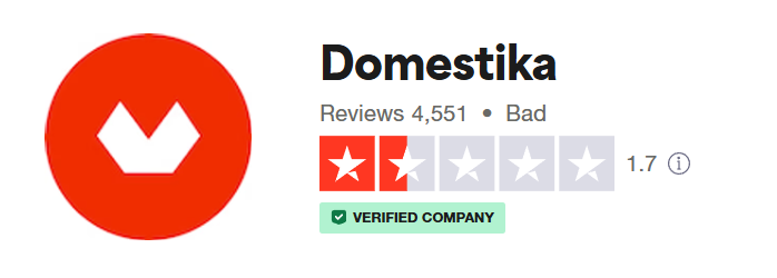 Domestika reviews