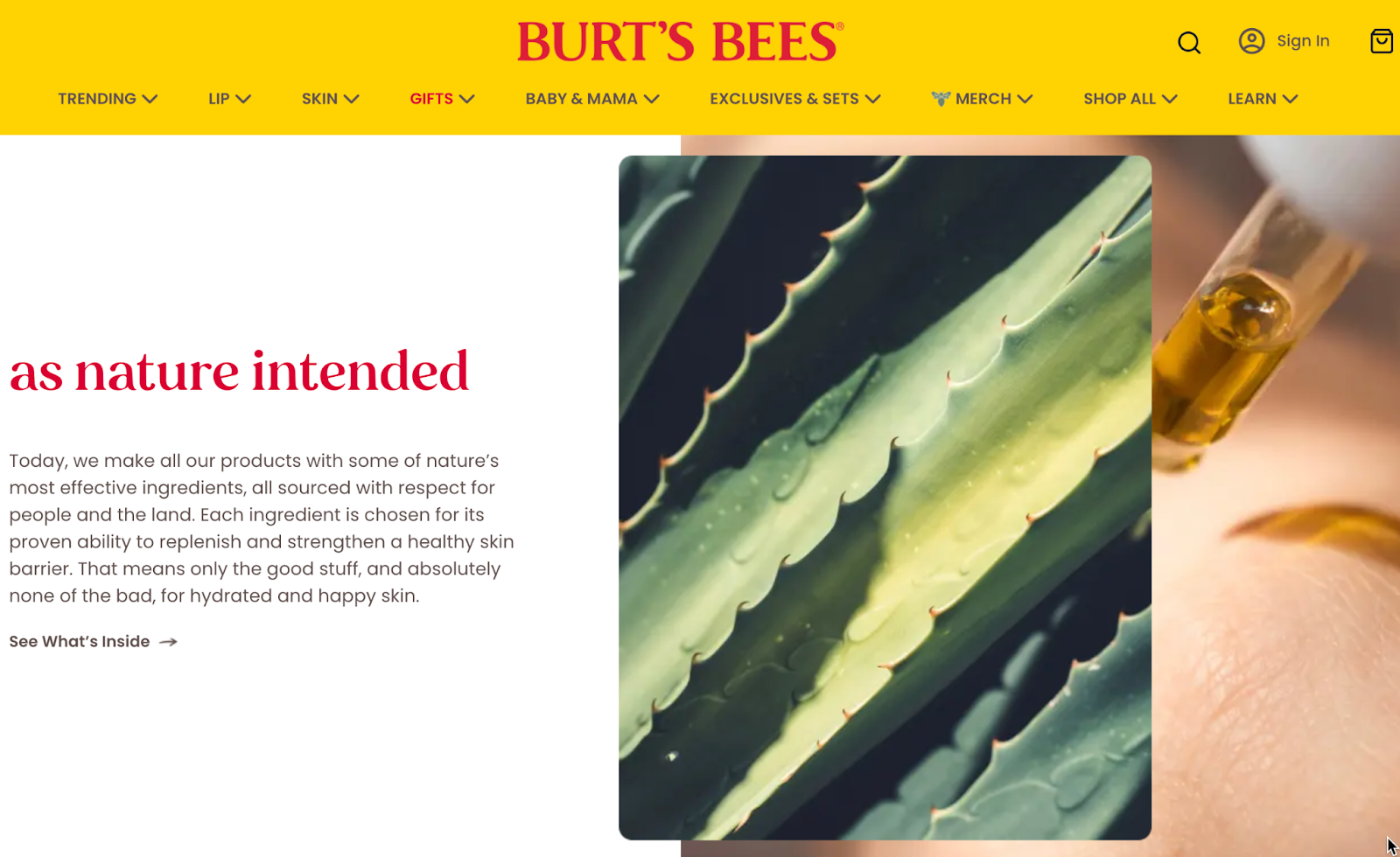 burts bees